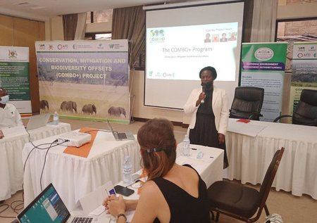 The COMBO Project: Advancing Biodiversity Offsets in Uganda